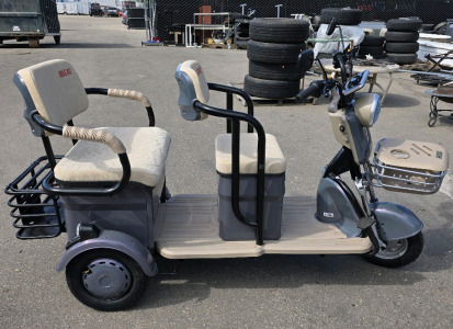 2025 Ingersoll Rand Tri-Wheel Golf Cart