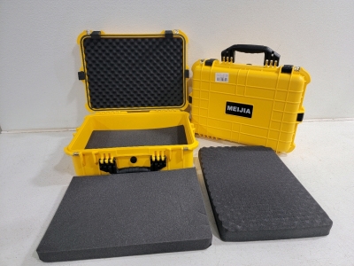 (2) Meijer Portable Waterproof Hardcase w/ cut to fit foam lining.