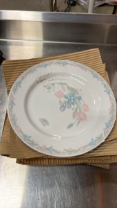 Illusions Porcelain Plates