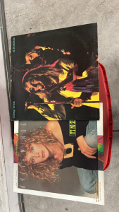 Vinyl Records