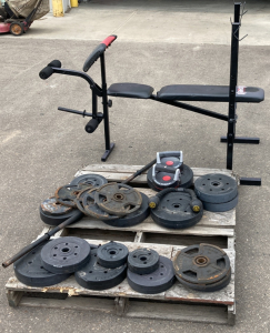 Weight Bench W/Weights And Workout Equipment