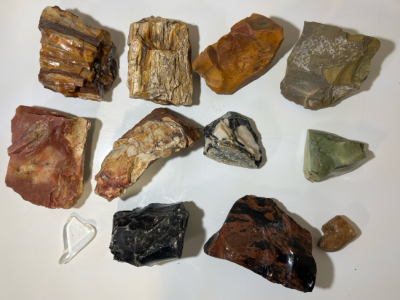 Petrified Wood, Obsidian & More Collectable Stones