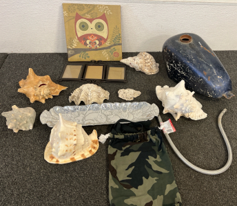 Owl Picture, Motorcycle Gas Can, Sea Shells, And Much More!!!!