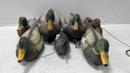 Decoy Ducks (7)