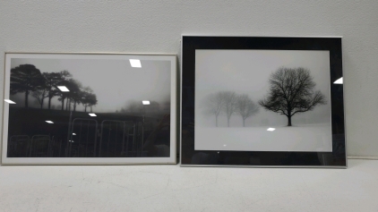 (2) Gorgeous Pictures