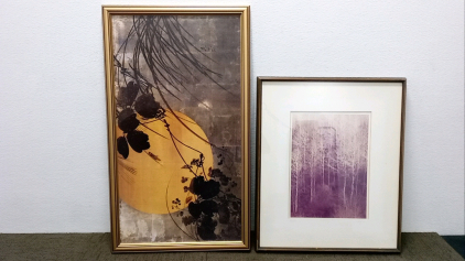 (2) Framed Artworks