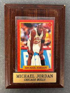 Michael Jordan Chicago Bulls Collectible Card