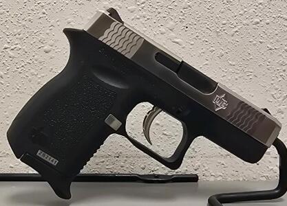 Diamondback DB380 Semi-Automatic Pistol, .380 Auto, Stainless Finish