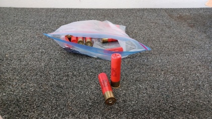 Bag of 12ga Shotgun Shells