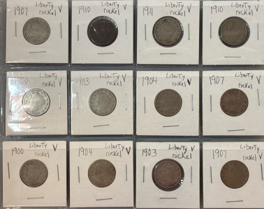 (12) Liberty V-Nickels