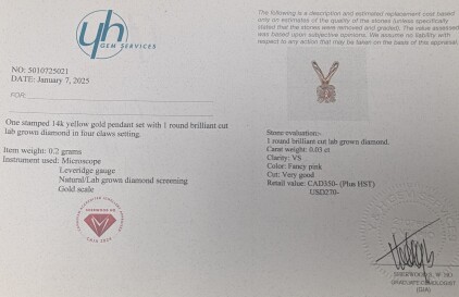 14K Lab Pink Diamond 0.03Ct Pendant