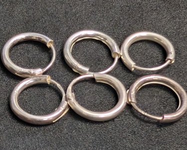 Pair of 2G Silver Earrings