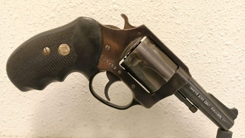 Charter Arms Bulldog .44spl Revolver -- 935757