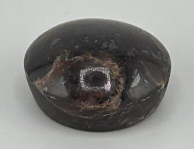 Polished Mineral Specimen, Dark Brown with Square Marking
