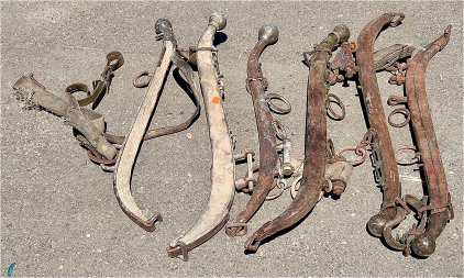 Antique Horse Collar Harness