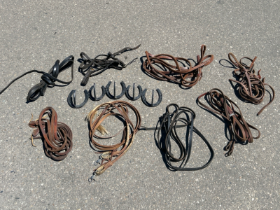 Custom Horseshoe Rack and Variety Of Reins
