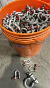 (Off-site) Assorted size Full Bucket of D Shackle