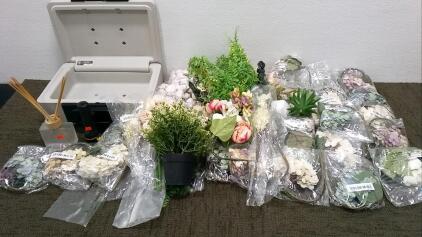 Safe, Reed Diffuser, Faux Plant Decor, and Flashlight