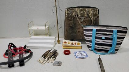 Igloo Cooler Tote and More