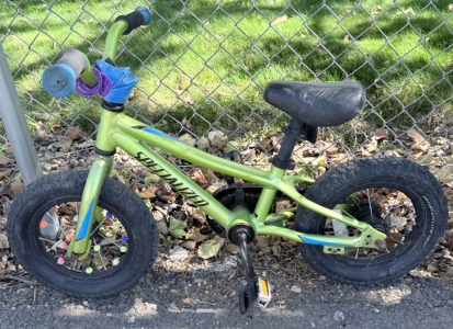 (1) Specialized Green Kids Bike