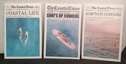 (1) 3-Panel Surfing Themed Canvas Wall Art