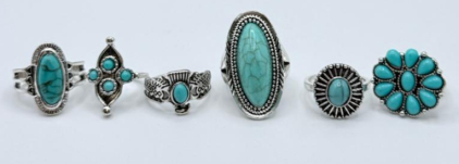 (6) Turquoise Rings