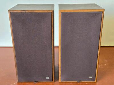 (2) Vintage PSB - PSB50R Speakers
