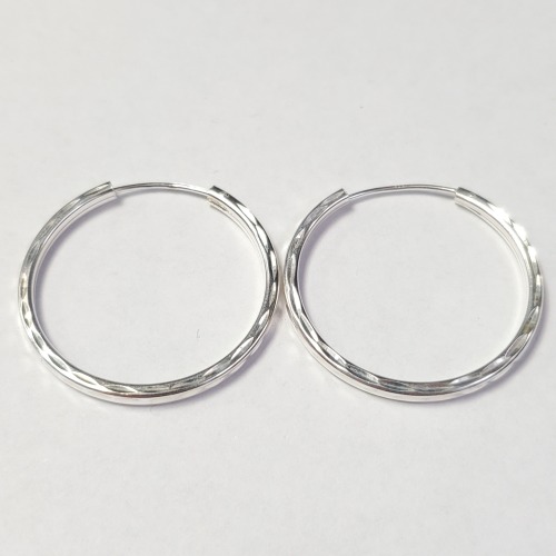 $100 Silver Hoop Earrings