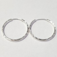 $100 Silver Hoop Earrings