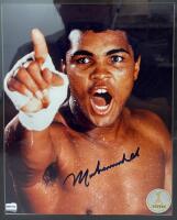 Muhammad Ali Autographed 8"x10" Photo, COA by Field of Dreams, Serial 002892 - 2