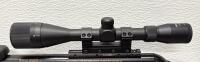Gamo Swarm Magnum 10X Gen2 Air Rifle, .22 Caliber, Hammers 4-12x40 AO Scope - 10