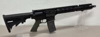 Tennessee Arms TNA-15 Semi-Automatic Rifle, Multicaliber - 3