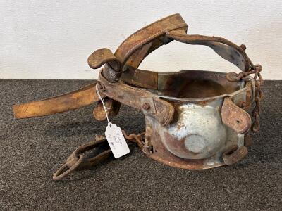 Vintage Bull Blinders