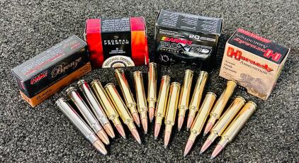 Mixed Ammo: Hornady Custom 9mm Luger 147 Gr. XTP, Barnes Tac-XP 40 S&W 140 Gr, Federal Premium 32 Auto 65 Gr, PMC Bronze 25 Auto 50 Gr, and Loose Weatherby 300 WBY Mag Rifle Cartridges