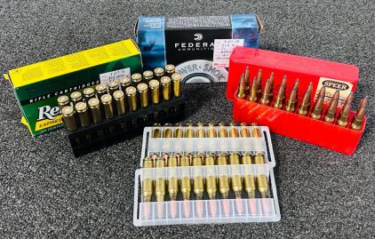 (60) Rnds Of 308 Win Ammunition
