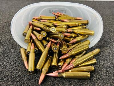 Container Of .308 Win Ammunition
