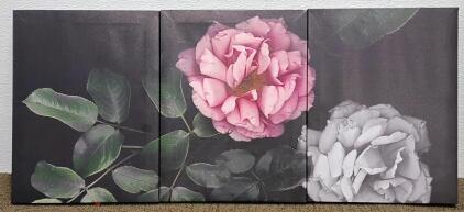 (3) Panel Canvas Artwork