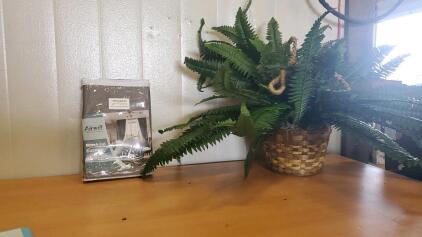 Airwill Blackout Curtains and Faux Plant