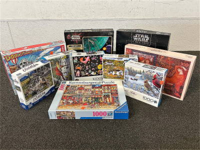(10) Family Fun Puzzles