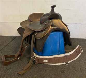 Bighorn Saddle And Diamond Wool Cushion