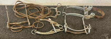 Multiple Different Horse Bits