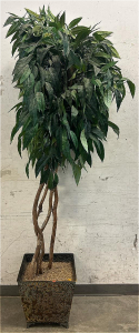 (1) Decorative Tree 7 Ft