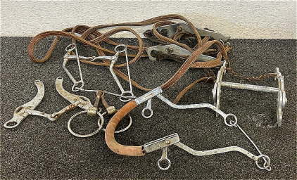 (1) Horse Bridle, (1) Nose Hackamore, (1) Horse Bit, And More