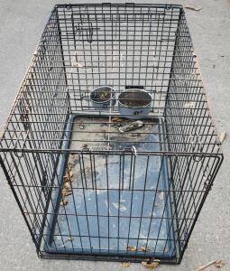 Dog Crate