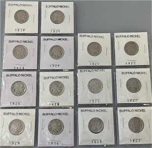 (14) 1919-1936 Buffalo Nickel