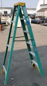 6Ft Werner Green Ladder