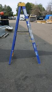 6FT Blue Werner Ladder