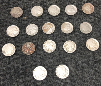 (17) Buffalo Nickles