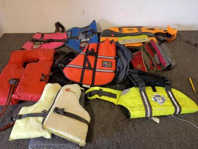 Various Sizes And Kinds Of Life Jackets For Dogs
