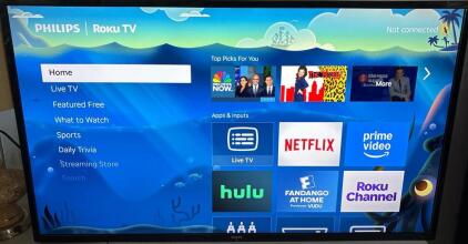 Philips Roku TV 49&rdquo; With TV Mount
